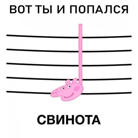 Вот ты и попался, свинота
