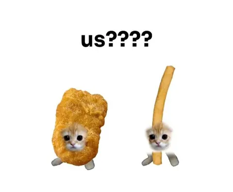 Us???? Cat Food Duo