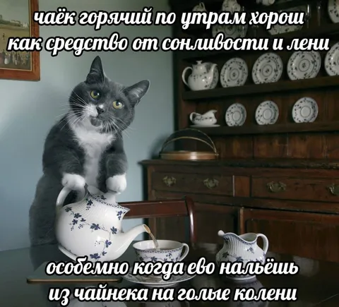 Чай на голые колени