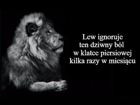 Lew ignoruje dziwny ból