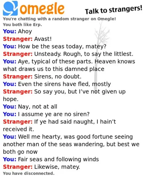 Pirate Omegle Conversation