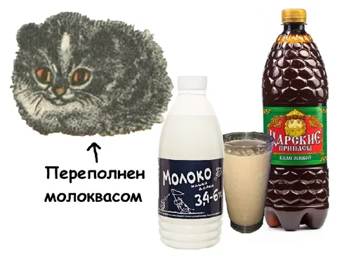 Переполнен молоквасом