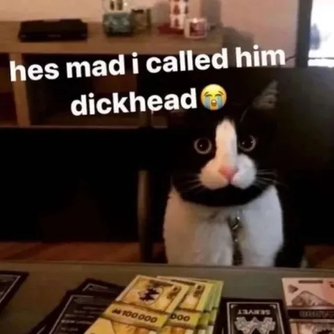 Cat Is Mad About Being Called Dickhead