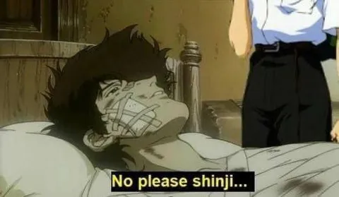 No Please Shinji