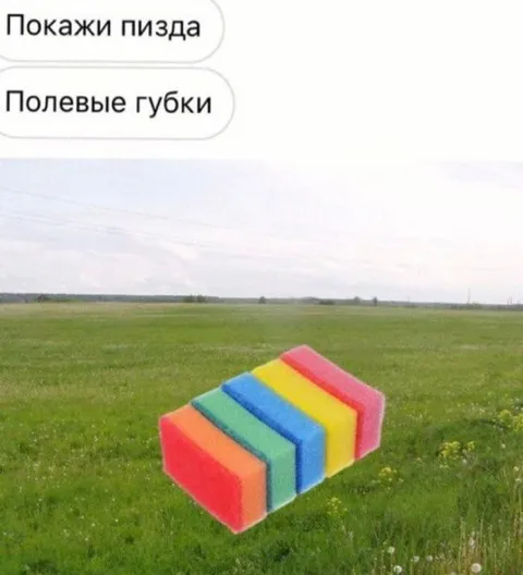 Полевые губки вместо пизды