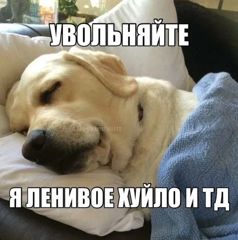 Увольняйте ленивое хуило