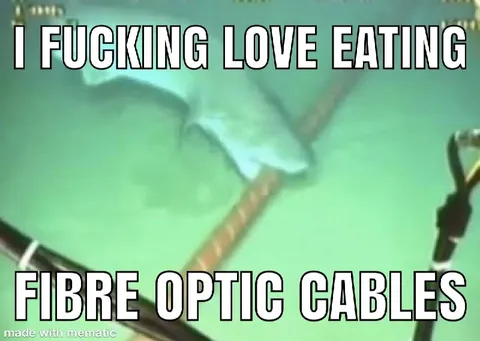 I Fucking Love Eating Cables