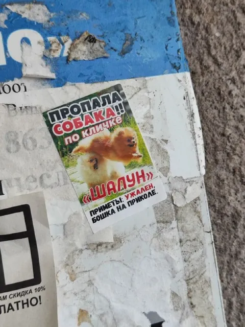 Пропала собака по кличке Цапун