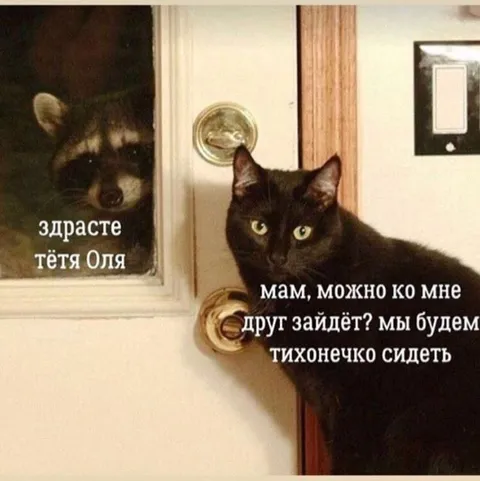 Мам, можно друг зайдёт?