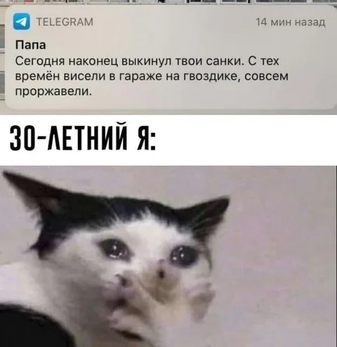 Папа выбросил старые санки