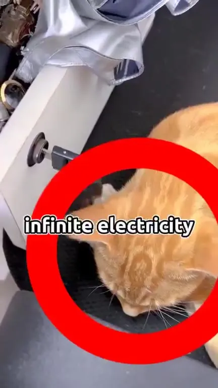 Cat Generates Infinite Electricity