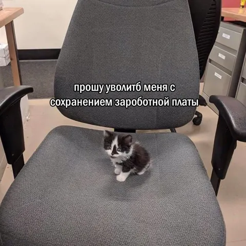 Увольнение с сохранением зарплаты
