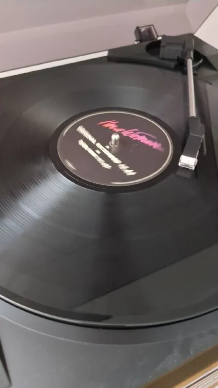 Homemade Vinyl Piracy