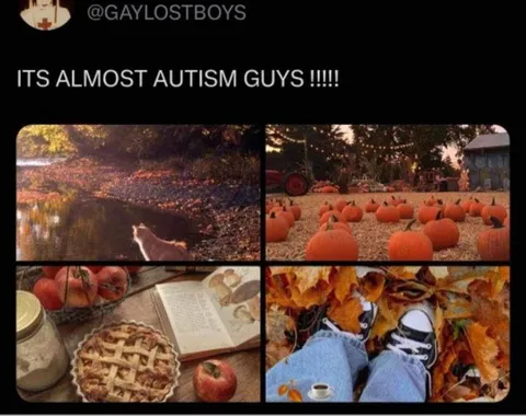Almost Autism Autumn Collage