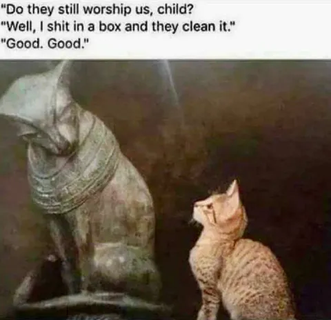 Cats Still Worshipped