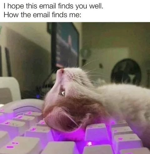 Email Finds Me