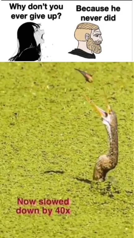 Because He Never Did