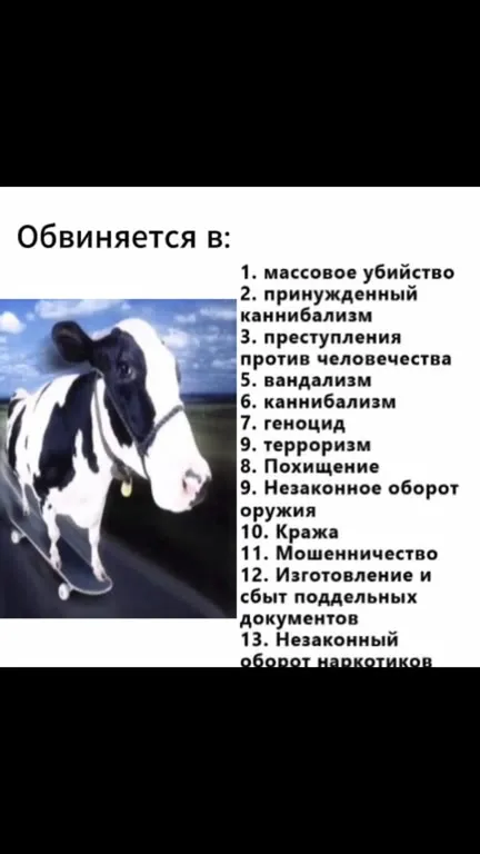 Корова обвиняется во всём