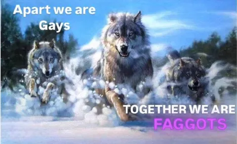 Apart We Are Gays Together We Are Faggots