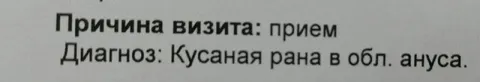 Кусаная рана в области ануса