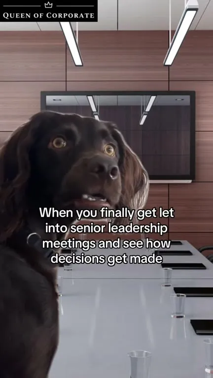 Dog Discovers Corporate Decisions