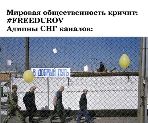 Мировая общественность кричит FreeDurov
