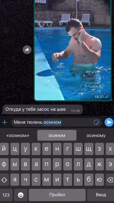 Меня тюлень осминогом ударил