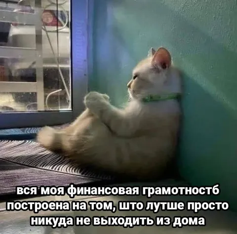 Финансовая грамотность — не выходить из дома