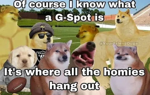 Doge G-Spot Joke