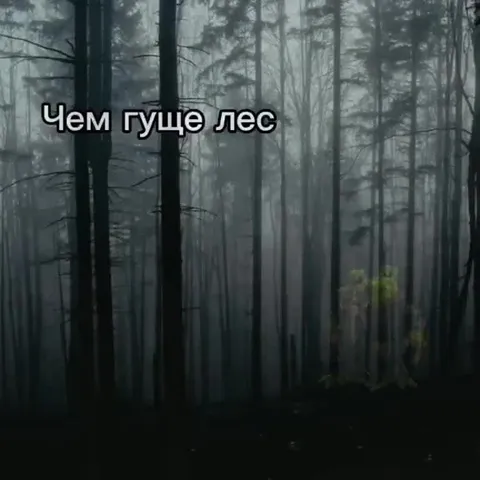 Чем гуще лес, тем страннее шутка