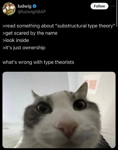 Type Theorists Discover Ownership