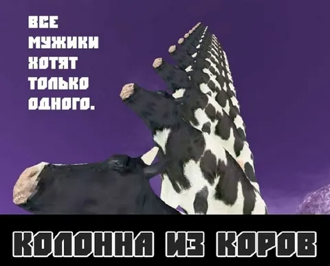 Колонна из коров