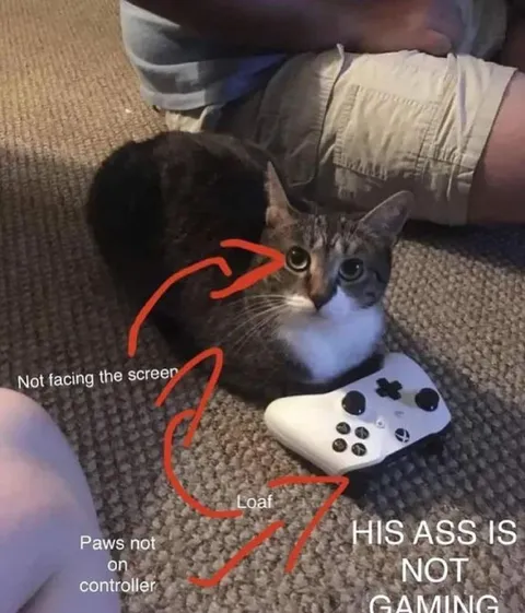 His Ass Is Not Gaming