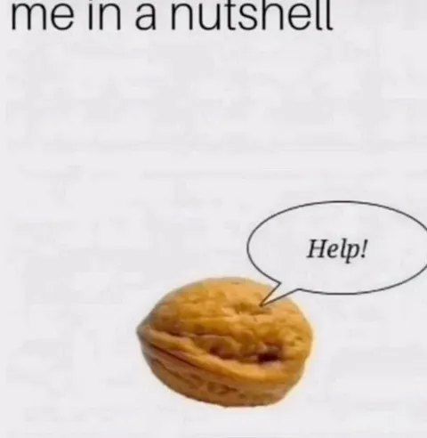 Me in a Nutshell Help