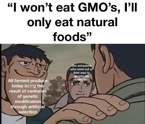 Natural Food Genetic Modification