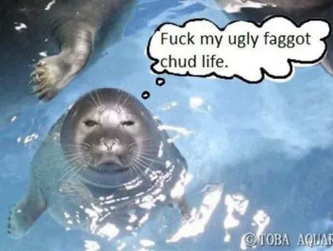 Ugly Seal Chud Life