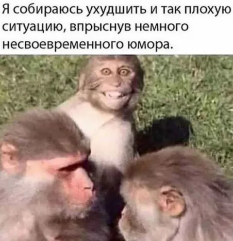 Несвоевременный юмор в плохой ситуации