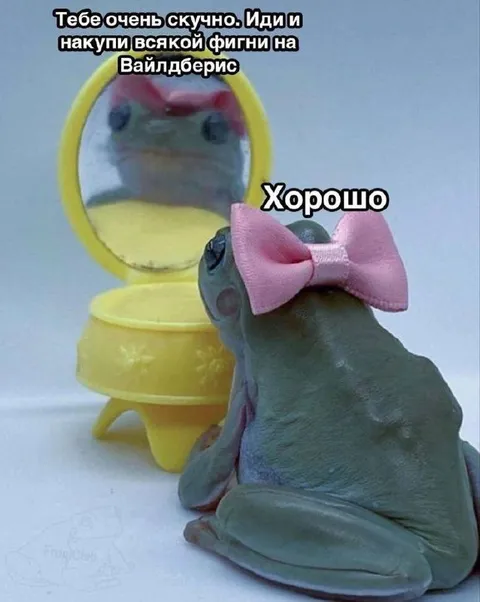 Лягушка и покупки на Вайлдберрис