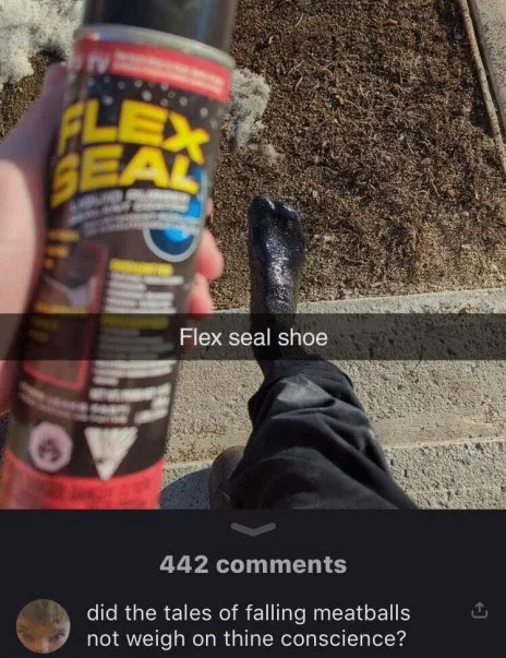 Flex Seal Shoe Repair