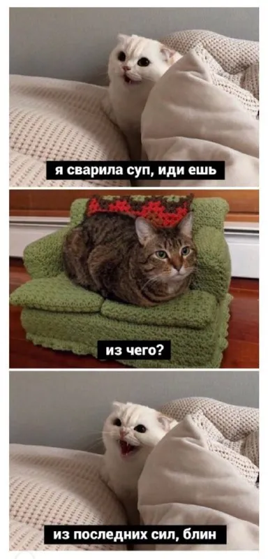Суп из последних сил