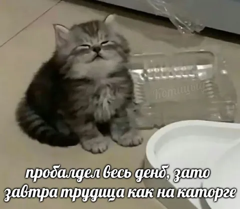 Пробалдел весь день