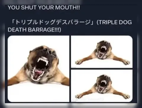 Triple Dog Death Barrage