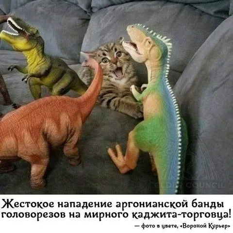 Нападение аргонианской банды