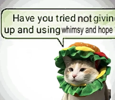Cat Wearing a Burger Costume