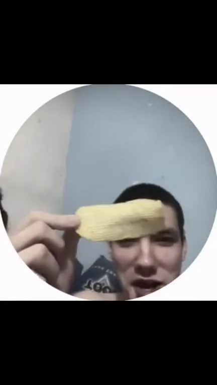 Кот и картофельная аномалия