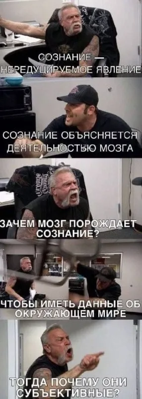 Сознание и субъективный опыт