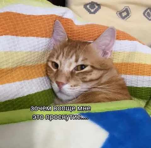 Зачем мне это пробуждение