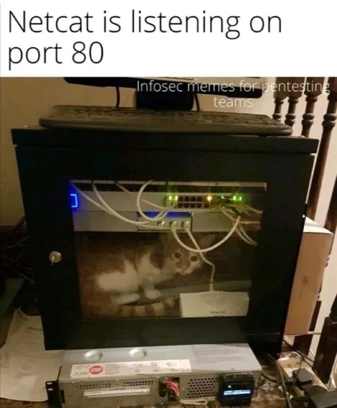 Netcat Listening on Port 80
