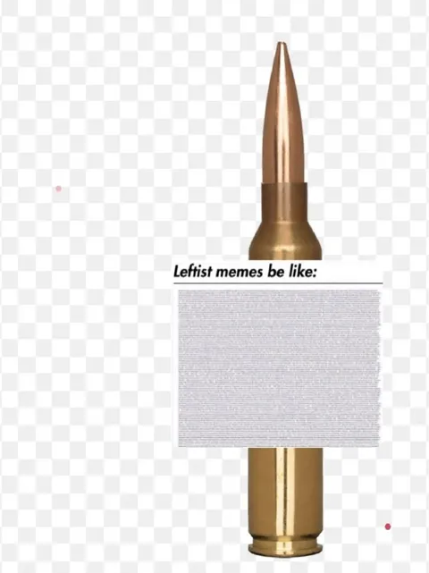 Leftist Memes Be Like