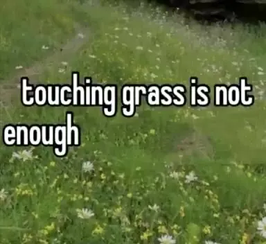 Touching Grass Is Not Enough